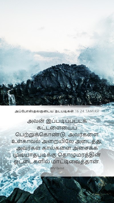 அப்போஸ்தலருடைய நடபடிகள் 16:24 TAMIRV Bible Verse Image