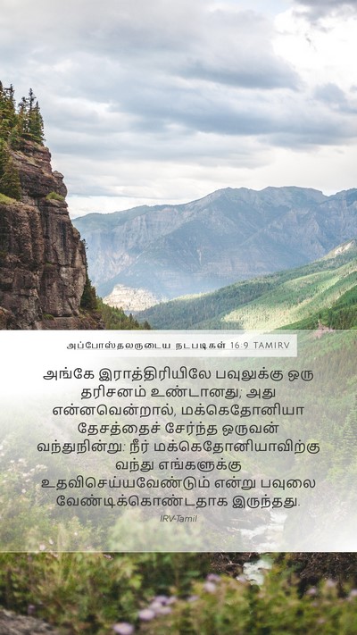 அப்போஸ்தலருடைய நடபடிகள் 16:9 TAMIRV Bible Verse Image