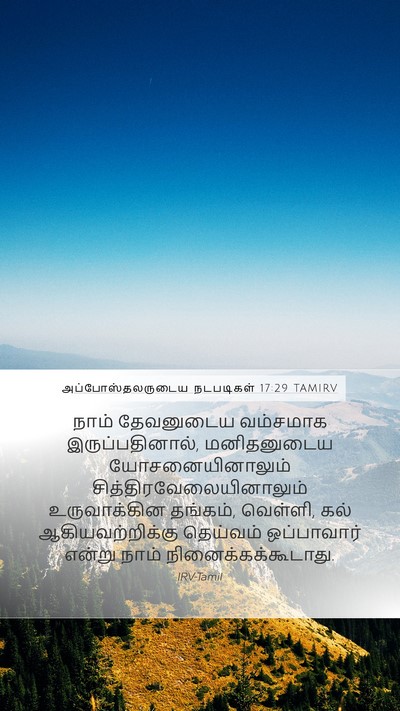 அப்போஸ்தலருடைய நடபடிகள் 17:29 TAMIRV Bible Verse Image