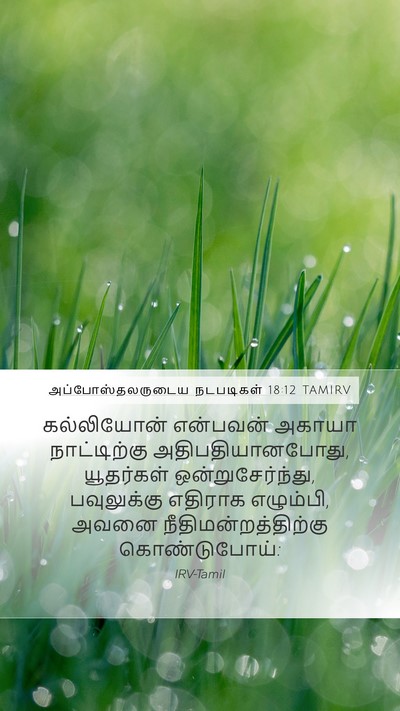 அப்போஸ்தலருடைய நடபடிகள் 18:12 TAMIRV Bible Verse Image