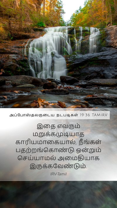 அப்போஸ்தலருடைய நடபடிகள் 19:36 TAMIRV Mobile Phone Wallpaper - இதை எவரும் - Mobile Bible Verse Wallpaper