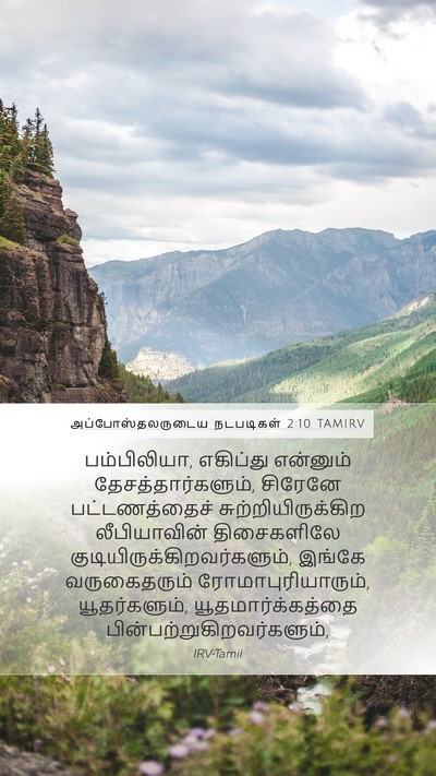 அப்போஸ்தலருடைய நடபடிகள் 2:10 TAMIRV Bible Verse Image