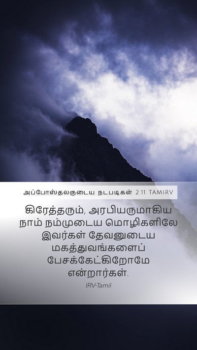 அப்போஸ்தலருடைய நடபடிகள் 2:11 TAMIRV Bible Verse Image