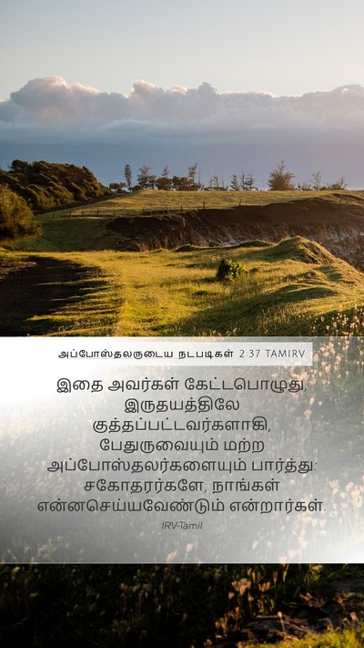 அப்போஸ்தலருடைய நடபடிகள் 2:37 TAMIRV Bible Verse Image