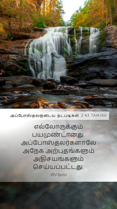 அப்போஸ்தலருடைய நடபடிகள் 2:43 TAMIRV Bible Verse Image
