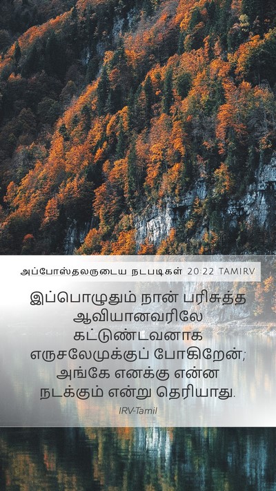 அப்போஸ்தலருடைய நடபடிகள் 20:22 TAMIRV Bible Verse Image