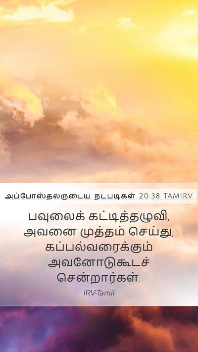 அப்போஸ்தலருடைய நடபடிகள் 20:38 TAMIRV Bible Verse Image