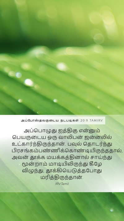அப்போஸ்தலருடைய நடபடிகள் 20:9 TAMIRV Bible Verse Image