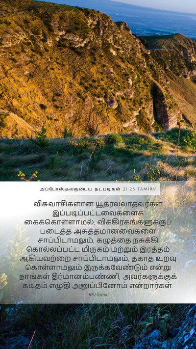 அப்போஸ்தலருடைய நடபடிகள் 21:25 TAMIRV Bible Verse Image