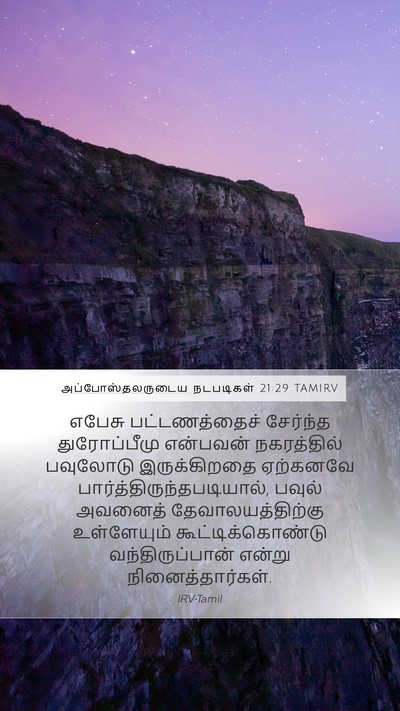 அப்போஸ்தலருடைய நடபடிகள் 21:29 TAMIRV Bible Verse Image