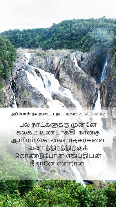 அப்போஸ்தலருடைய நடபடிகள் 21:38 TAMIRV Bible Verse Image