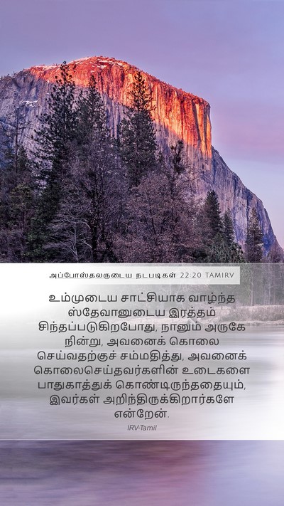 அப்போஸ்தலருடைய நடபடிகள் 22:20 TAMIRV Bible Verse Image