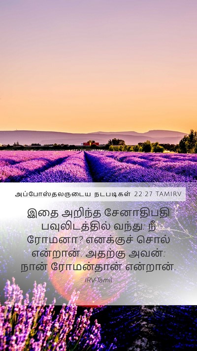 அப்போஸ்தலருடைய நடபடிகள் 22:27 TAMIRV Mobile Phone Wallpaper - இதை அறிந்த - Mobile Bible Verse Wallpaper