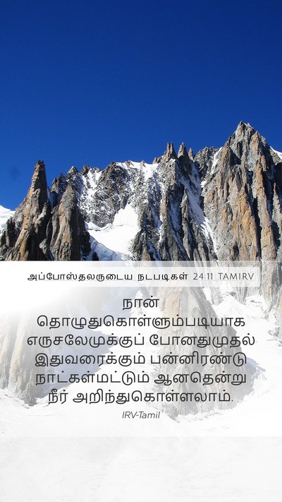 அப்போஸ்தலருடைய நடபடிகள் 24:11 TAMIRV Bible Verse Image
