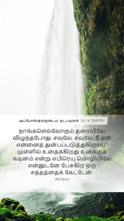 அப்போஸ்தலருடைய நடபடிகள் 26:14 TAMIRV Bible Verse Image