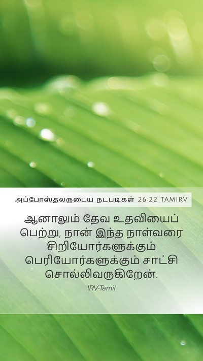 அப்போஸ்தலருடைய நடபடிகள் 26:22 TAMIRV Bible Verse Image