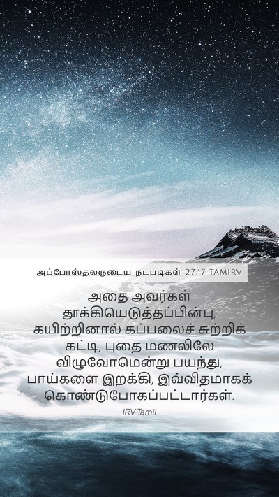 அப்போஸ்தலருடைய நடபடிகள் 27:17 TAMIRV Bible Verse Image