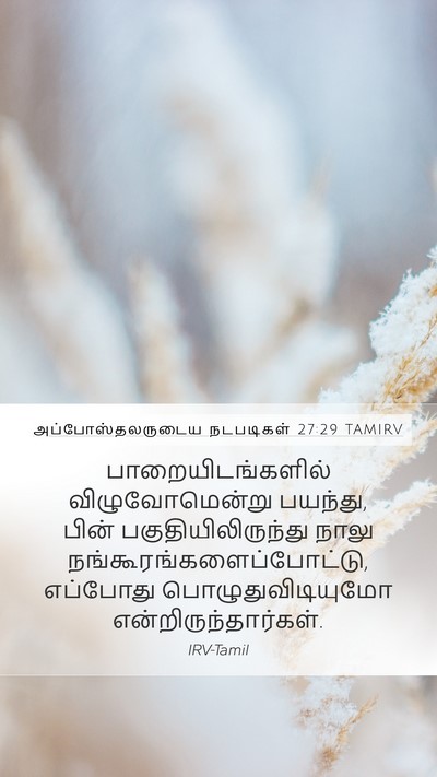 அப்போஸ்தலருடைய நடபடிகள் 27:29 TAMIRV Bible Verse Image