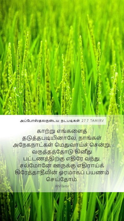 அப்போஸ்தலருடைய நடபடிகள் 27:7 TAMIRV Bible Verse Image