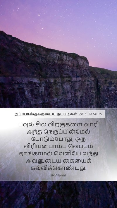 அப்போஸ்தலருடைய நடபடிகள் 28:3 TAMIRV Bible Verse Image