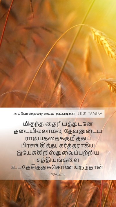 அப்போஸ்தலருடைய நடபடிகள் 28:31 TAMIRV Bible Verse Image