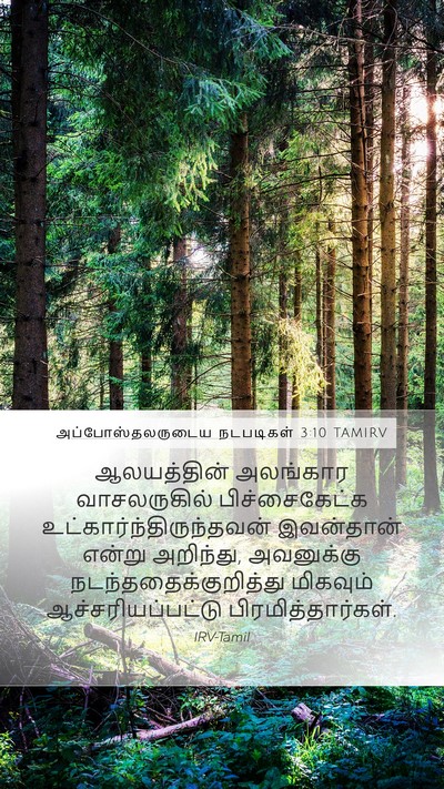 அப்போஸ்தலருடைய நடபடிகள் 3:10 TAMIRV Bible Verse Image