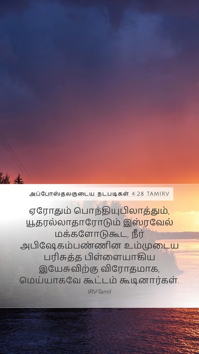 அப்போஸ்தலருடைய நடபடிகள் 4:28 TAMIRV Bible Verse Image