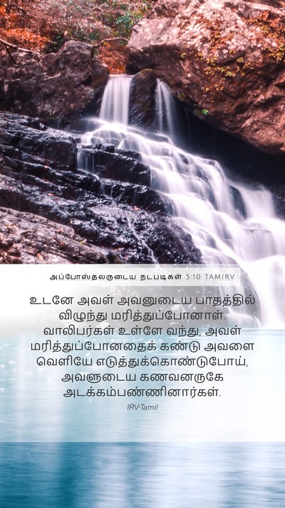 அப்போஸ்தலருடைய நடபடிகள் 5:10 TAMIRV Bible Verse Image