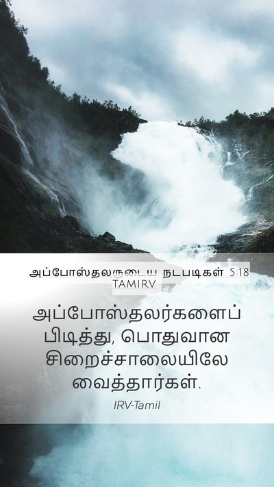 அப்போஸ்தலருடைய நடபடிகள் 5:18 TAMIRV Bible Verse Image