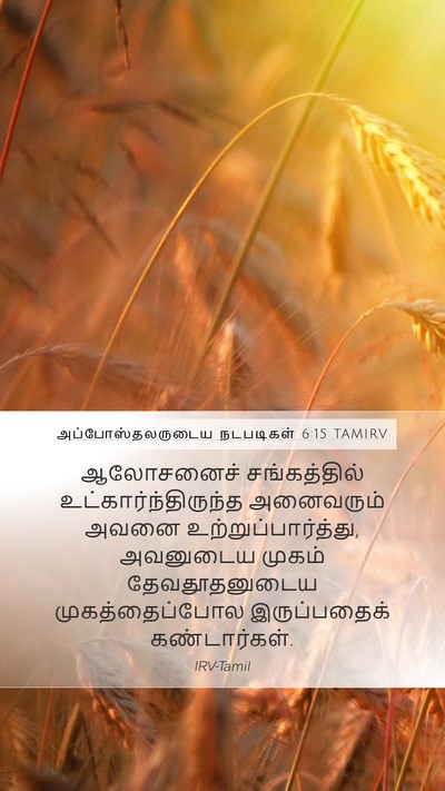 அப்போஸ்தலருடைய நடபடிகள் 6:15 TAMIRV Bible Verse Image