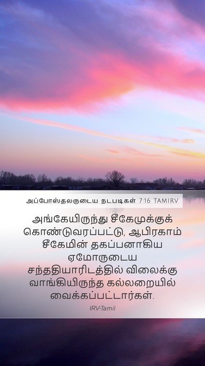 அப்போஸ்தலருடைய நடபடிகள் 7:16 TAMIRV Bible Verse Image