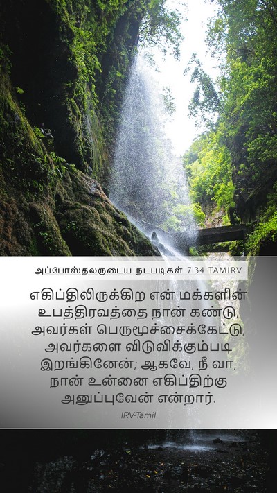 அப்போஸ்தலருடைய நடபடிகள் 7:34 TAMIRV Bible Verse Image
