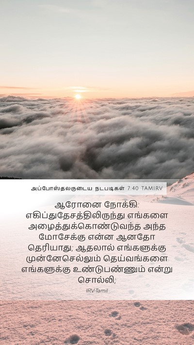 அப்போஸ்தலருடைய நடபடிகள் 7:40 TAMIRV Bible Verse Image