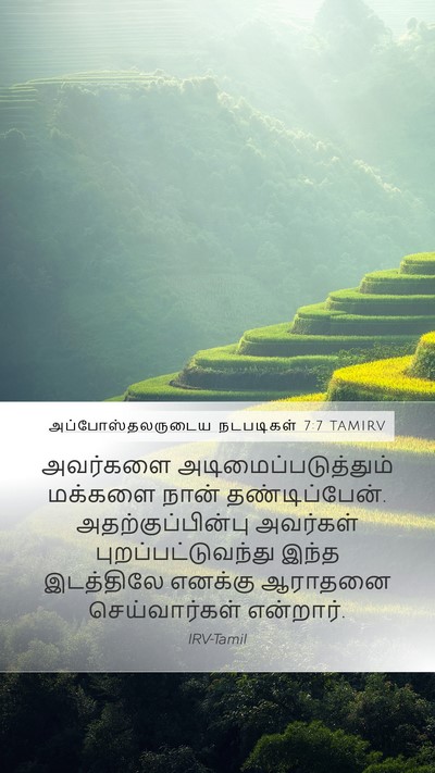 அப்போஸ்தலருடைய நடபடிகள் 7:7 TAMIRV Mobile Phone Wallpaper - அவர்களை - Mobile Bible Verse Wallpaper