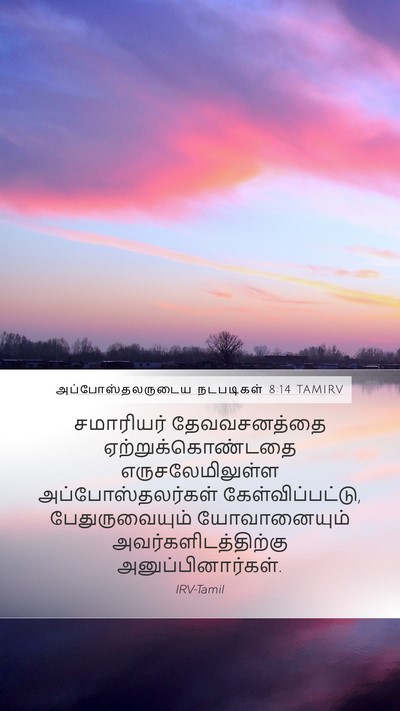 அப்போஸ்தலருடைய நடபடிகள் 8:14 TAMIRV Bible Verse Image