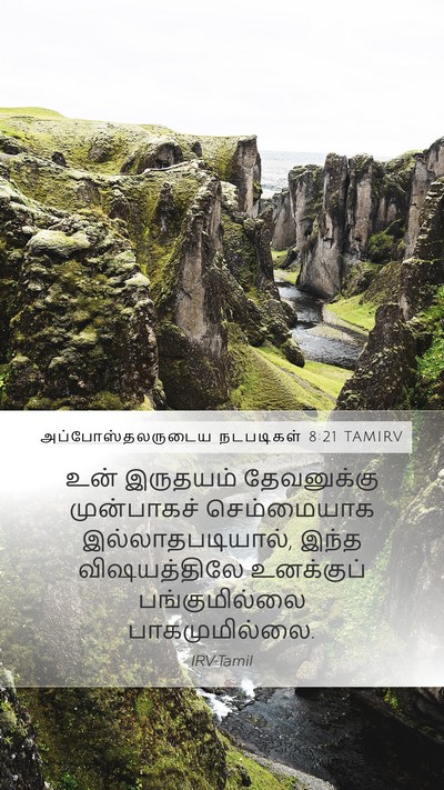 அப்போஸ்தலருடைய நடபடிகள் 8:21 TAMIRV Bible Verse Image