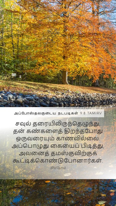 அப்போஸ்தலருடைய நடபடிகள் 9:8 TAMIRV Bible Verse Image