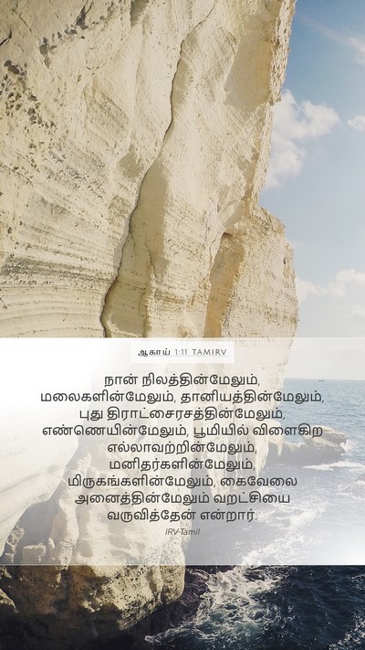 ஆகாய் 1:11 TAMIRV Bible Verse Image