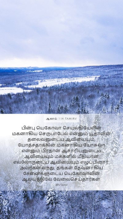 ஆகாய் 1:14 TAMIRV Bible Verse Image