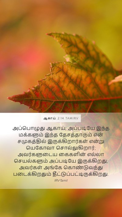 ஆகாய் 2:14 TAMIRV Mobile Phone Wallpaper - அப்பொழுது ஆகாய்; - Mobile Bible Verse Wallpaper