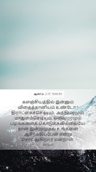 ஆகாய் 2:19 TAMIRV Bible Verse Image