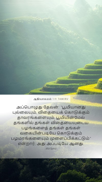 ஆதியாகமம் 1:11 TAMIRV Bible Verse Image