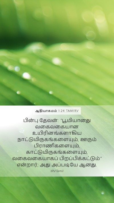 ஆதியாகமம் 1:24 TAMIRV Bible Verse Image