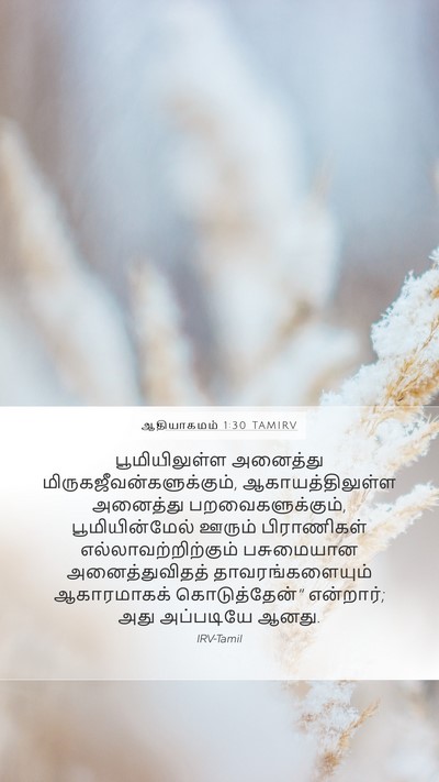 ஆதியாகமம் 1:30 TAMIRV Bible Verse Image