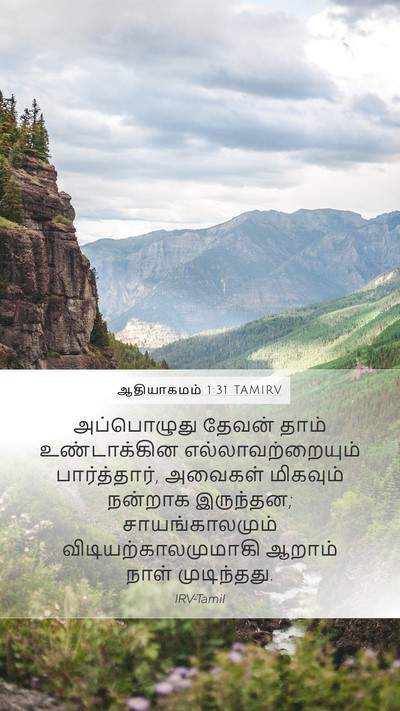 ஆதியாகமம் 1:31 TAMIRV Bible Verse Image