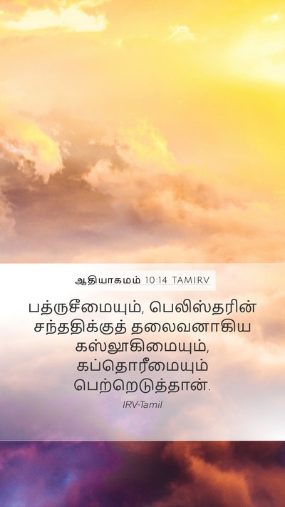 ஆதியாகமம் 10:14 TAMIRV Bible Verse Image