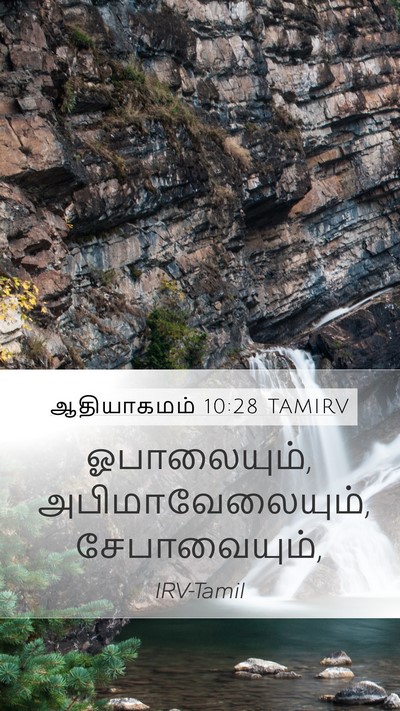 ஆதியாகமம் 10:28 TAMIRV Mobile Phone Wallpaper - ஓபாலையும், - Mobile Bible Verse Wallpaper