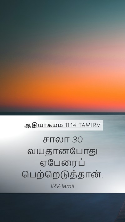 ஆதியாகமம் 11:14 TAMIRV Mobile Phone Wallpaper - சாலா 30 வயதானபோது - Mobile Bible Verse Wallpaper