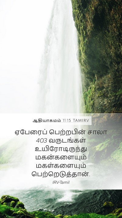 ஆதியாகமம் 11:15 TAMIRV Mobile Phone Wallpaper - ஏபேரைப் பெற்றபின் - Mobile Bible Verse Wallpaper