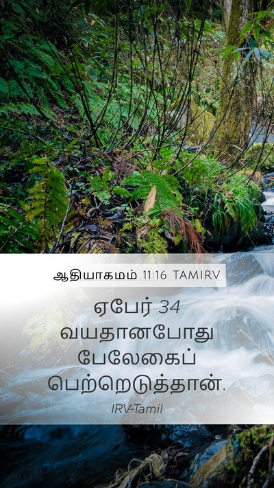 ஆதியாகமம் 11:16 TAMIRV Bible Verse Image